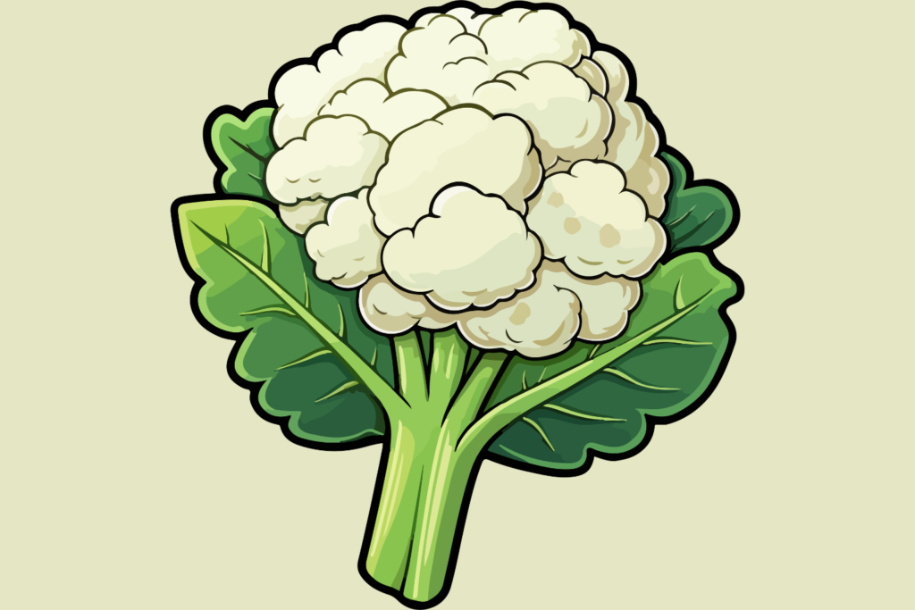 Couve flor