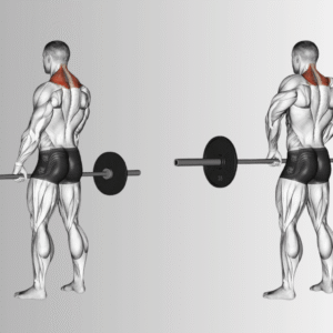 Treino HIIT: o que é e por que é tão eficaz?